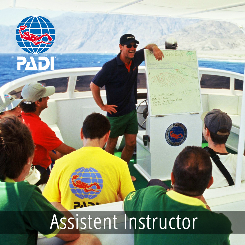 PADI Assistent Instructor